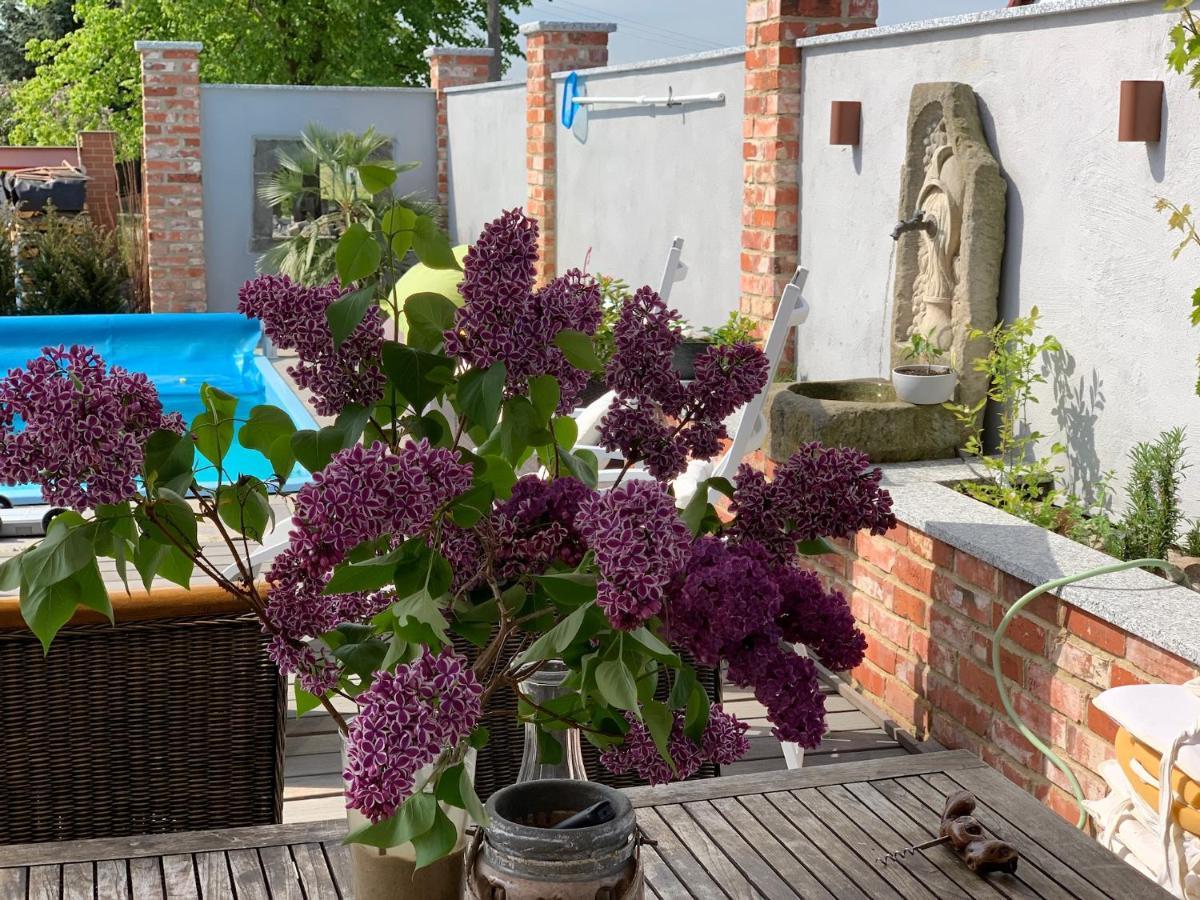 Alte Schmiede Mit Sauna, Pool Und Whirpool Im Aussenbereich Schoenstes Ferienhaus Der Lausitz Elsterheide Bagian luar foto